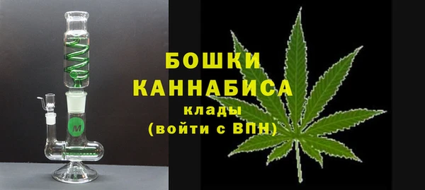 дмт Богданович